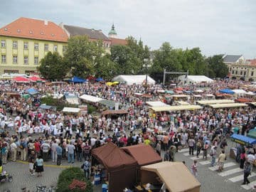 Obrázek Slovácké slavnosti vína a otevřených památek 11.-13.9.2026 - Uherské Hradiště