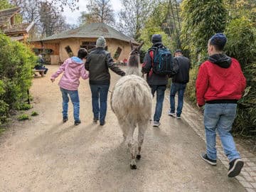 Obrázek Zvířecí park Žitava – Tierpark Zittau, Německo