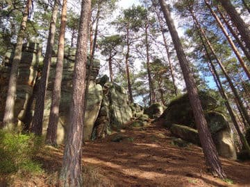 Obrázek Toulovcovy maštale – přírodní rezervace